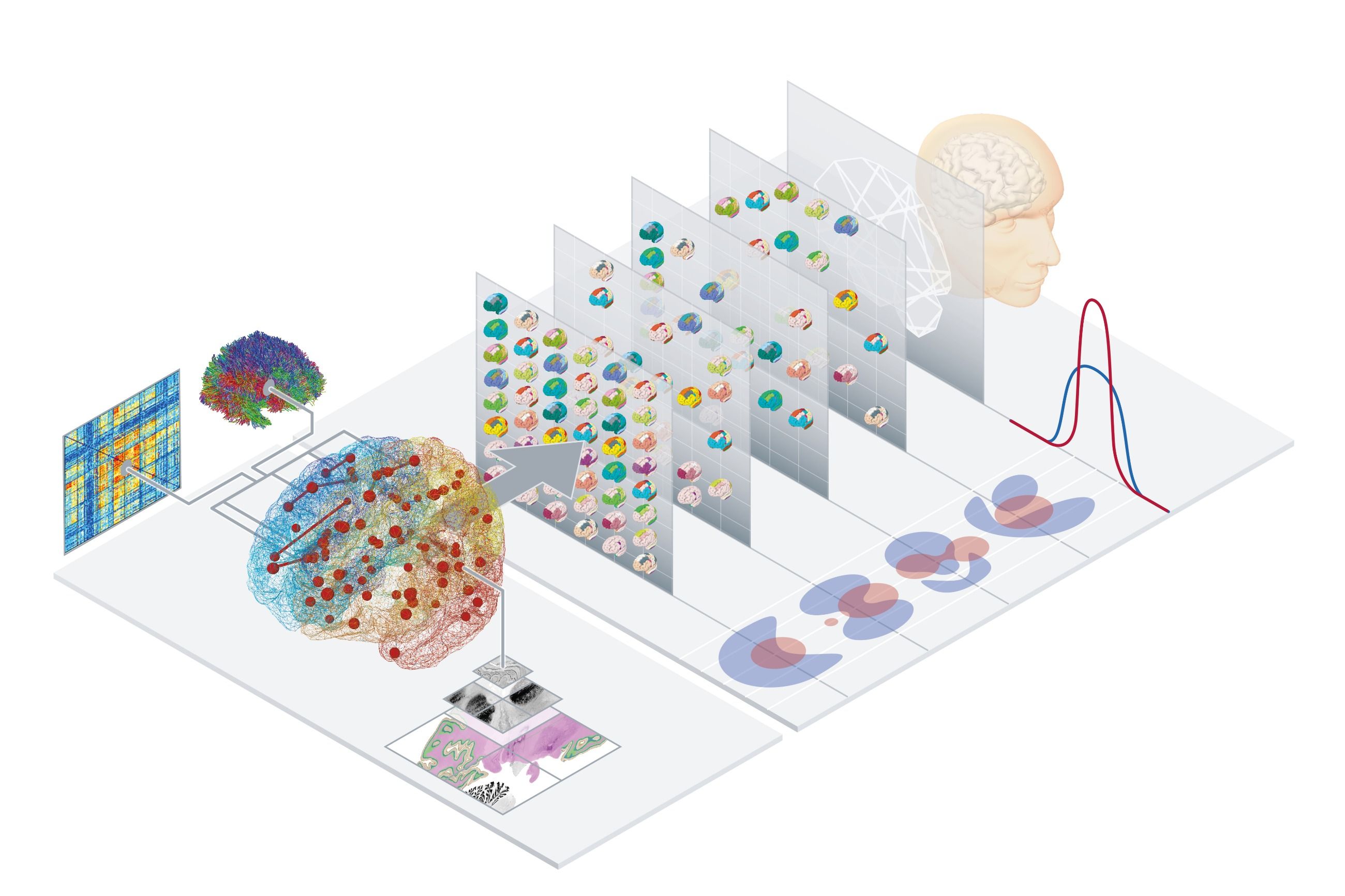 The Virtual Brain Ebrains The Virtual Brain Ebrains