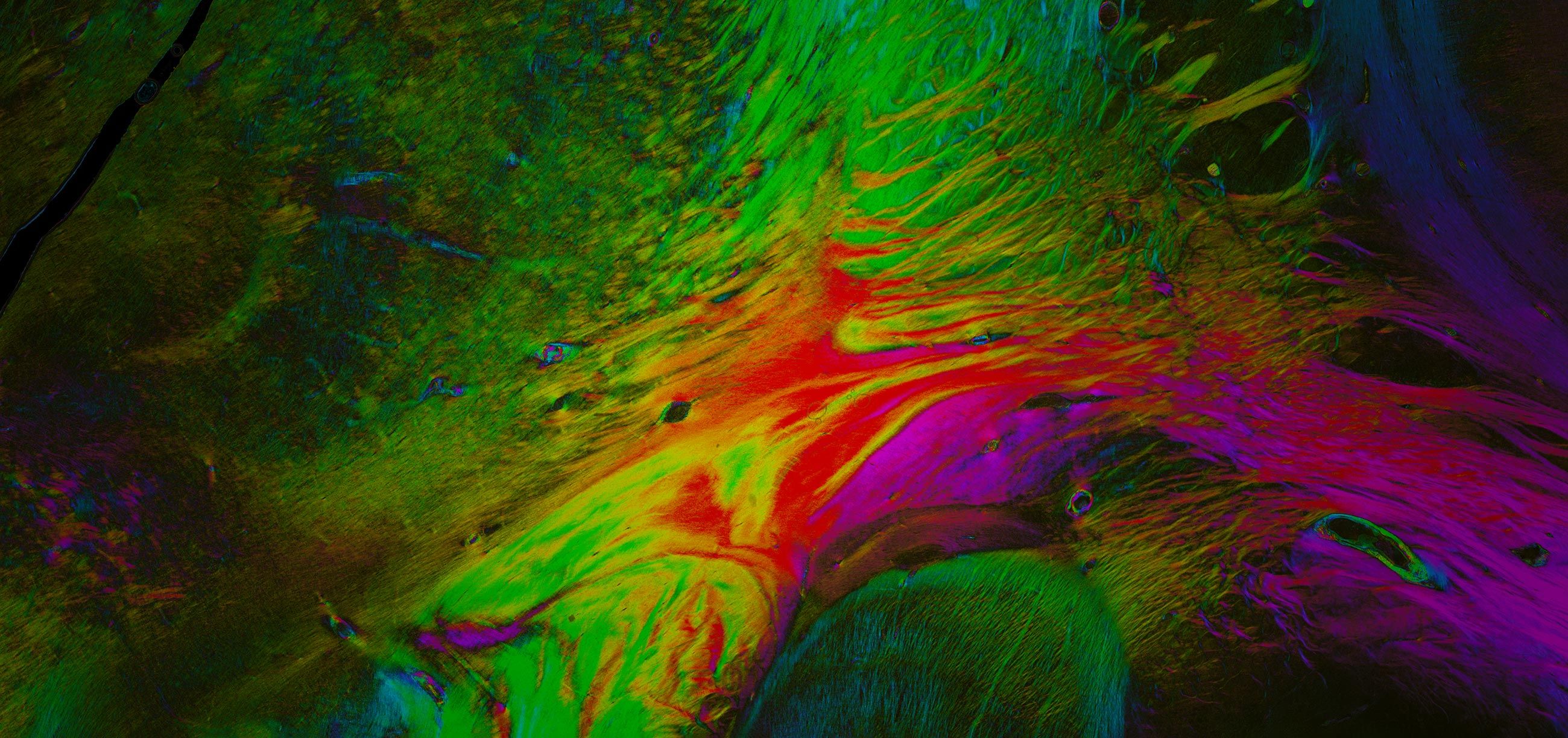 Ebrains Homepage cover