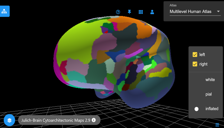 New Maps and Features in the EBRAINS Multilevel Human Brain Atlas - Image 1.png